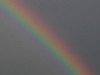 SuzieRainbow's picture